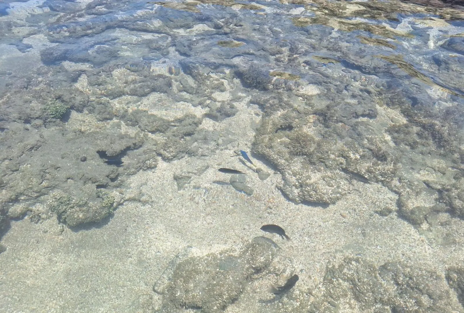 Prive Recanto Da Enseada - Praia De Serrambi-Pe Pôrto das Galinhas 0*,